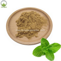 Lemon Balm Dry Extract For Health Benefits Supplement